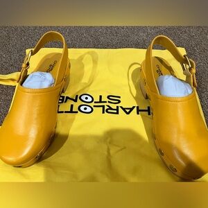 Charlotte Stone Clogs sz 7